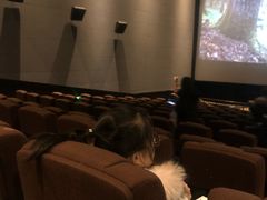 -中影国际影城(东方新天地CINITY店)