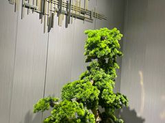 -沐森澜·轻奢足道·养生·SPA