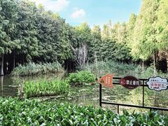 -捞渔河湿地公园