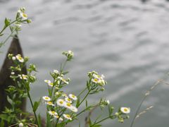 -武陵山森林公园