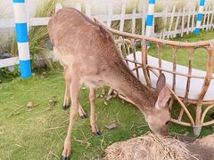 -Blue Concept Cafe&Farm·關於藍