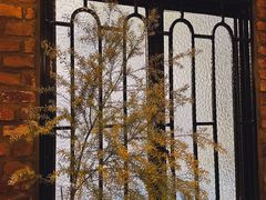 -西关84·History·Art·Cafe