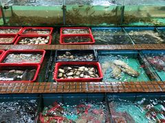 -景好海鲜餐厅(大鹏必选旅游店)