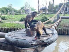 -上海野生动物园