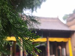 -仓颉庙