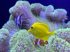 -成都浩海立方海洋公园