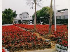 -广东花都香草世界旅游度假区