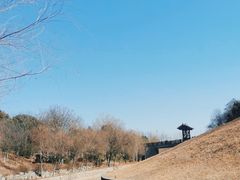 -合肥三国新城遗址公园