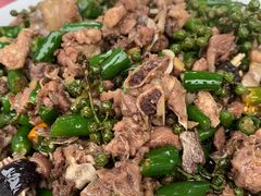 -铁山坪森林公园