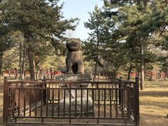 -沈阳市东陵公园