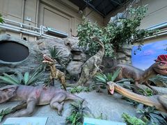 -国家自然博物馆