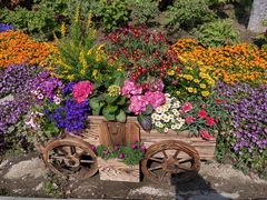 -狼山风景名胜区