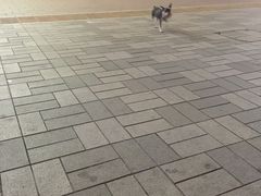 -中影国际影城(百联店)