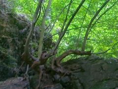 -百里峡七彩艺术小镇