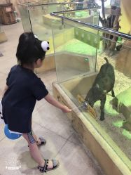 -未来动物城主题公园(正弘城店)