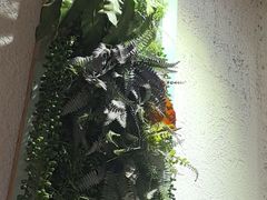 -猫爷的腔调·黔小馆(交大医学住宅区店)