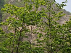 -野三坡百里峡景区