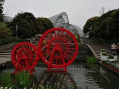 -南山植物园