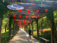-白马涧龙池景区