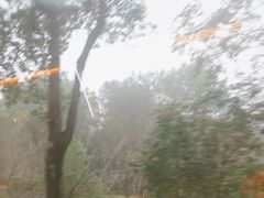 -敬亭山风景名胜区