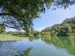 -一江春水·杭帮臻宴(三台山店)