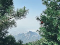 -泰山风景名胜区