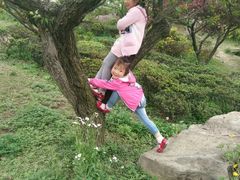 -秀丽东方