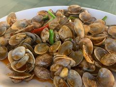 -七鲜渔港美食餐厅(巽寮湾海景店)