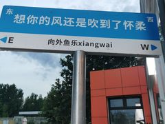 -向外鱼乐·土菜·虹鳟鱼