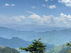-朱雀国家森林公园