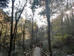 -罗田天堂寨风景区