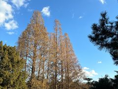 -国家植物园南园