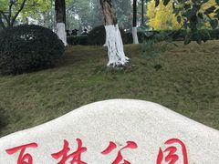-两江幸福广场