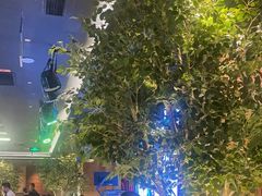 -同仁四季椰子鸡(海岸城天利店)