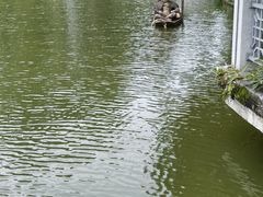 -柳侯公园