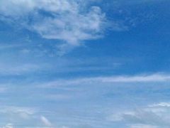 -北海金海湾红树林生态旅游区