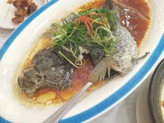 清蒸深海斑-天鲜阁·海鲜粤菜·33年老字号(石槎白云站店)