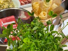 -浩爷羊蝎子火锅(望京店)