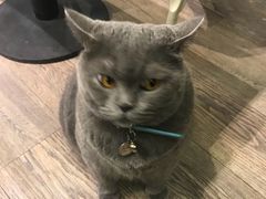 -小时光咖啡馆(开森度假森林店)