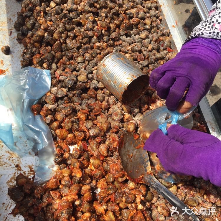 我在柬埔寨吃的各种虫子