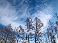 -长白山华美胜地滑雪场