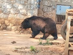-昆明动物园