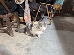 -车溪民俗旅游区