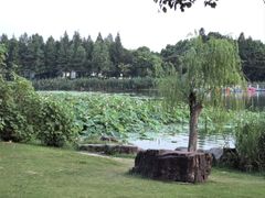-南翔镇银翔湖公园