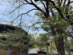 -潭柘寺景区