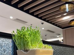 -海底捞火锅(明湖路店)