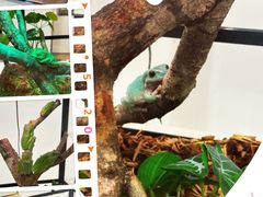 -上海昆虫博物馆