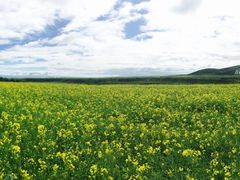 -扁都口生态休闲旅游区