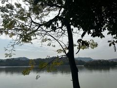 -黎记大排档(慈云路店)