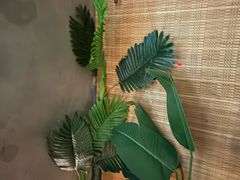 -施奈儿.洗头頭療.按摩SPA.采耳(上梅林店)